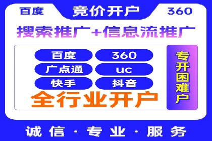 专业SEM服务托管方案案例分析